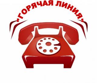 Горячая линия вопросам ЕГЭ и ОГЭ